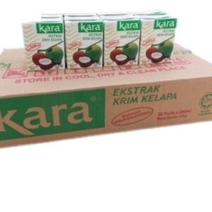 Santan 200ml x 30 (1 Carton)